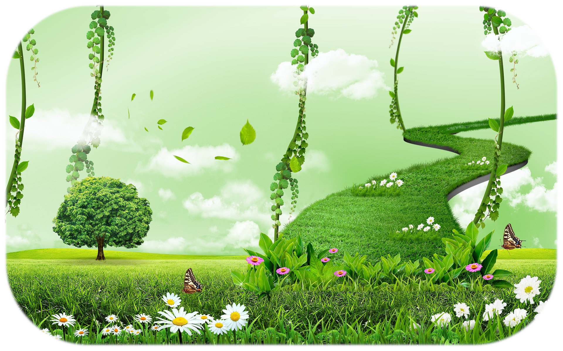 » The Cord Cutting Meditation