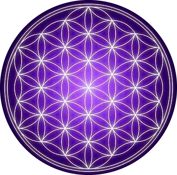 12 New Cosmic Awareness Laws: The Law of Connectedness